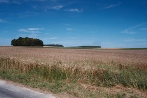 Battery positions near Maricourt