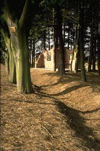 Trench near Mark Copse