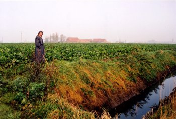 Soyer Farm as seen from the River Warnave